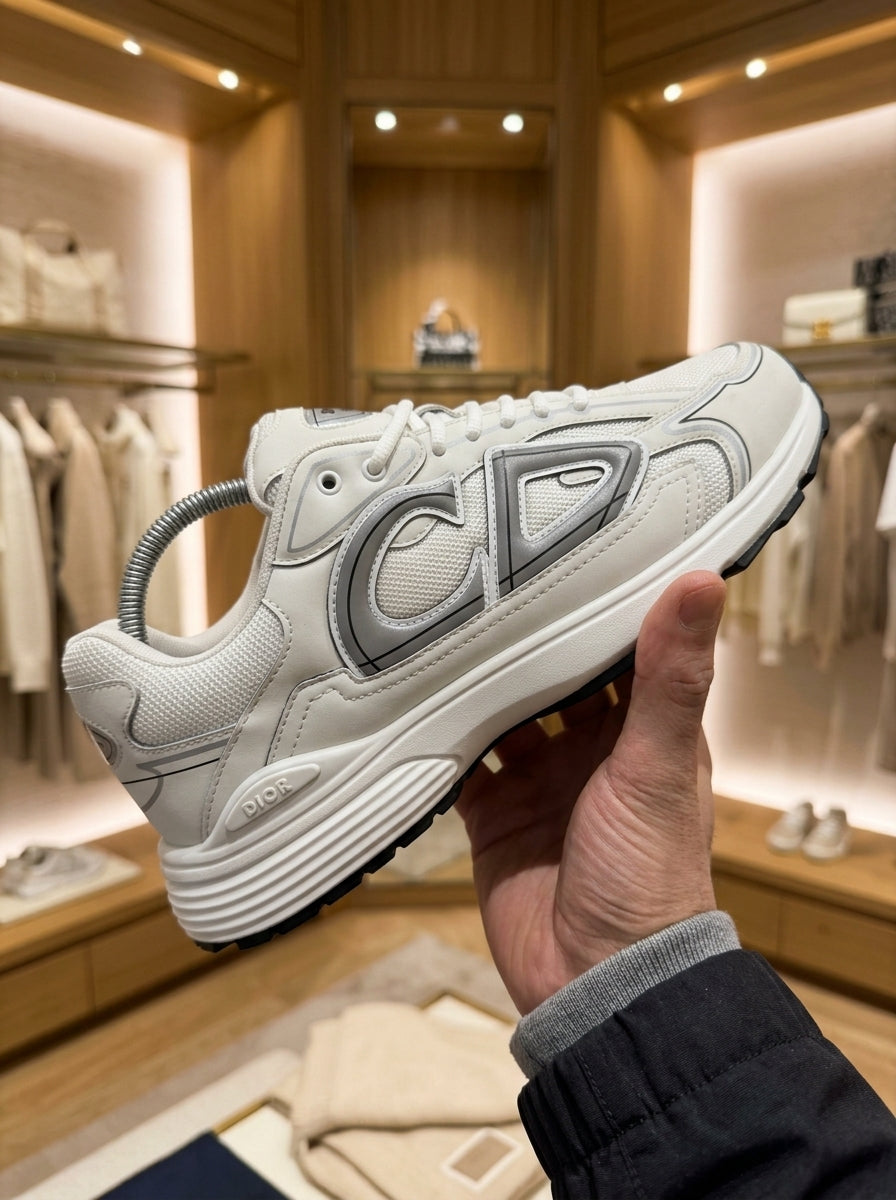 Dior B30 White & Silver Trainers