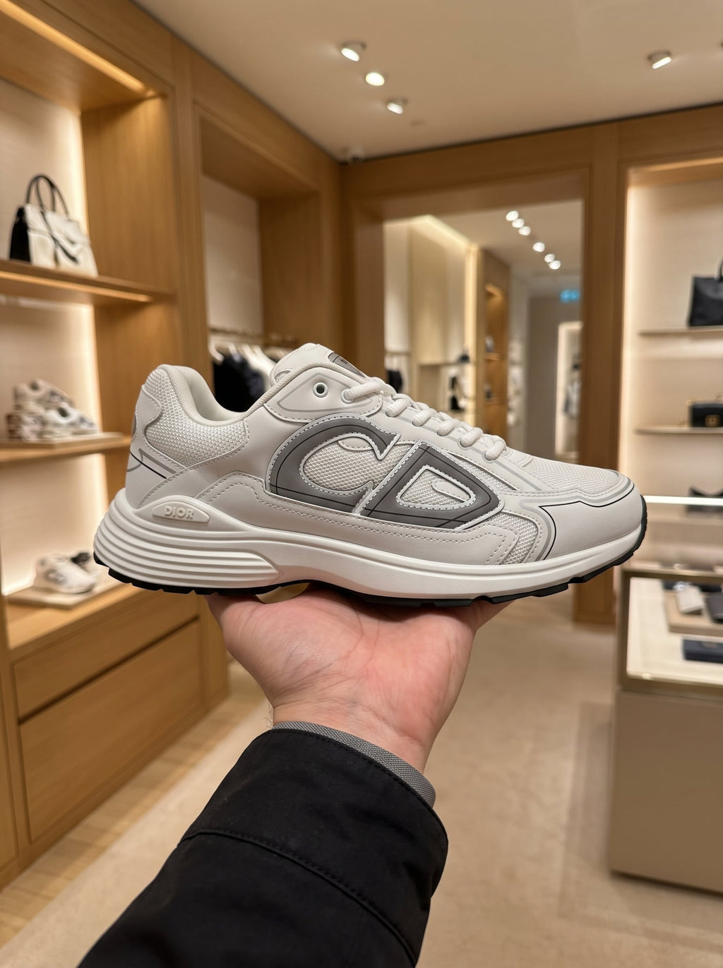Dior B30 White Sneakers