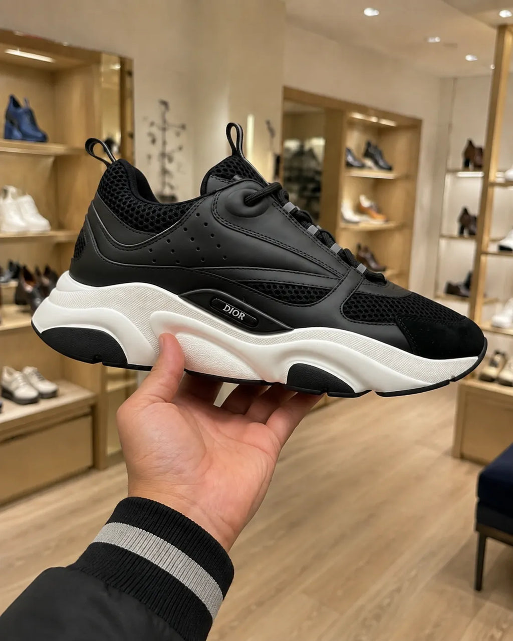 Dior B22 Black & White Trainers
